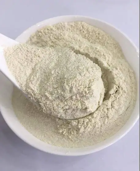 Dehydrated Radish Powder