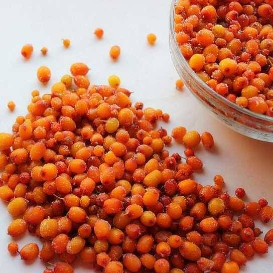 Frozen Sea Buckthorn Berries