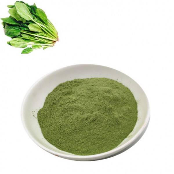 Dehydrated Spinach Powder