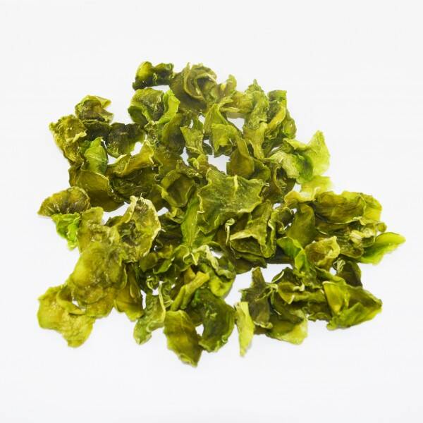 Dehydrated Lettuce