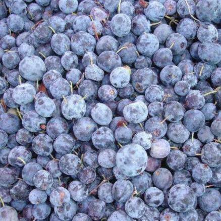 Frozen Blueberries Ntuc 