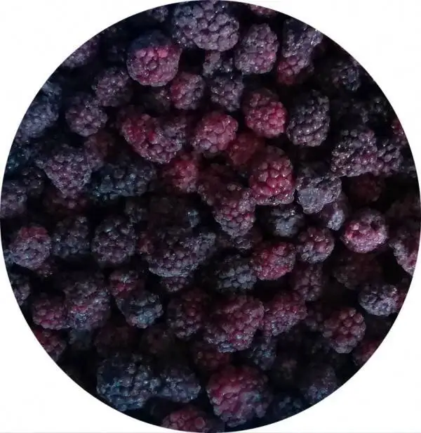 Frozen Black Raspberries