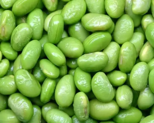 Frozen Lima Beans