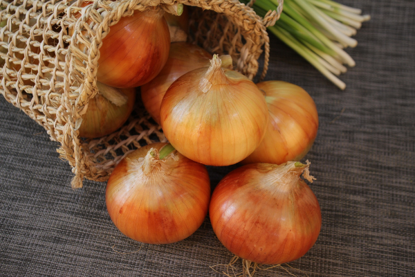 large volumes of Yunnan onions have entered the Chinese market but at a higher price