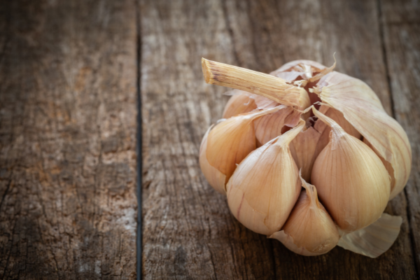 dry garlic